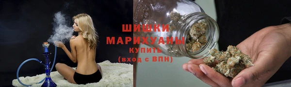 ГАЛЛЮЦИНОГЕННЫЕ ГРИБЫ Балабаново
