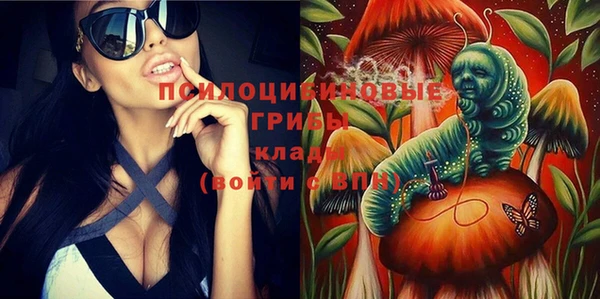 ГАЛЛЮЦИНОГЕННЫЕ ГРИБЫ Балабаново