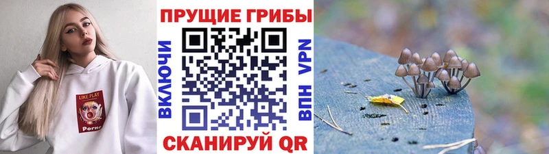 Галлюциногенные грибы Magic Shrooms  мориарти состав  Кондрово 