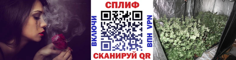 Конопля планчик  Кондрово 